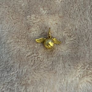 Pandora retired Harry Potter charm!